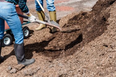 Ratschläge für Arbeiten im Garten