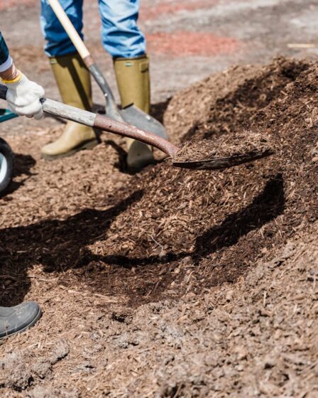 Ratschläge für Arbeiten im Garten
